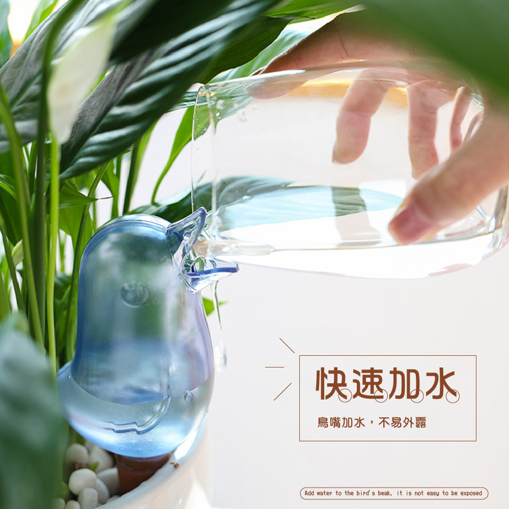 å¿«éå æ°´ é³¥å´å æ°´,ä¸æå¤é² 