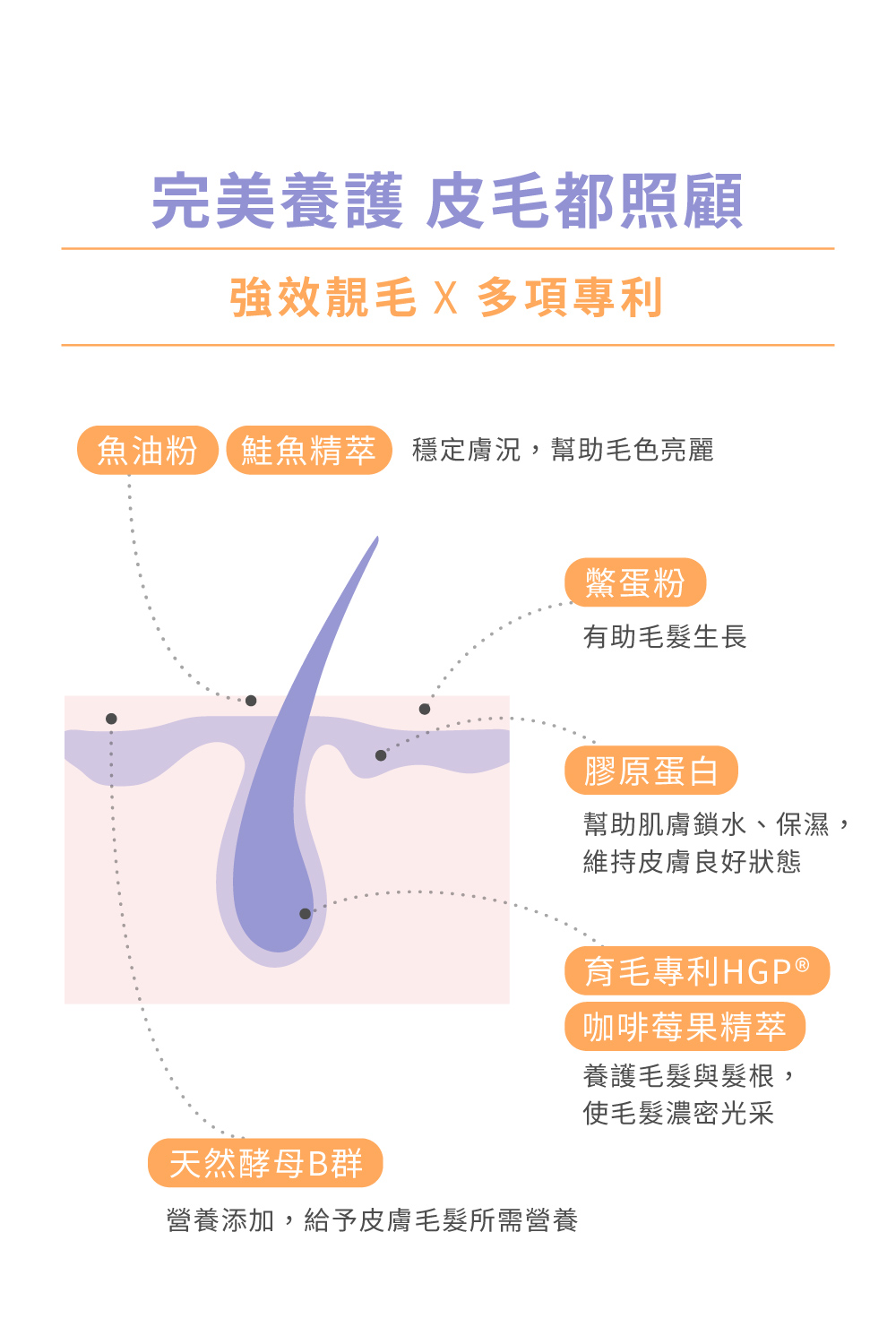 魚油粉鮭魚精萃穩定膚況,幫助毛色亮麗