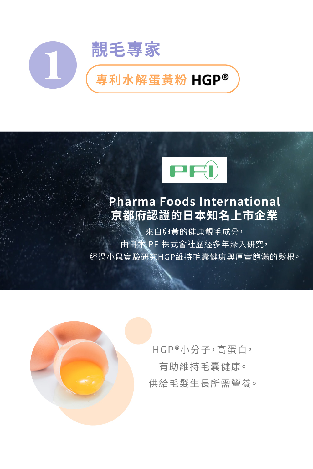 經過小鼠實驗研究HGP維持毛囊健康與厚實飽滿的髮根。
