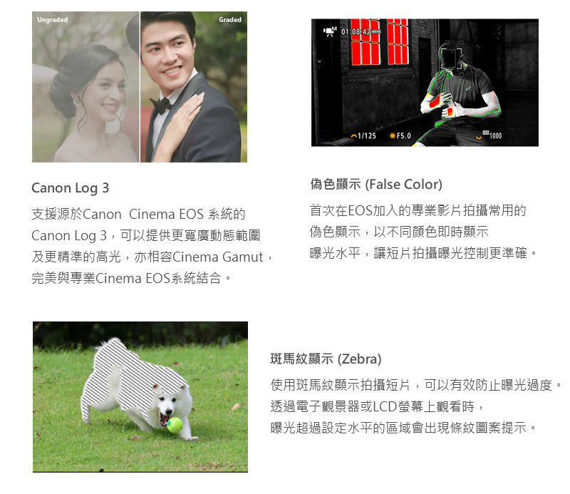 支援源於Canon Cinema EOS 系統的