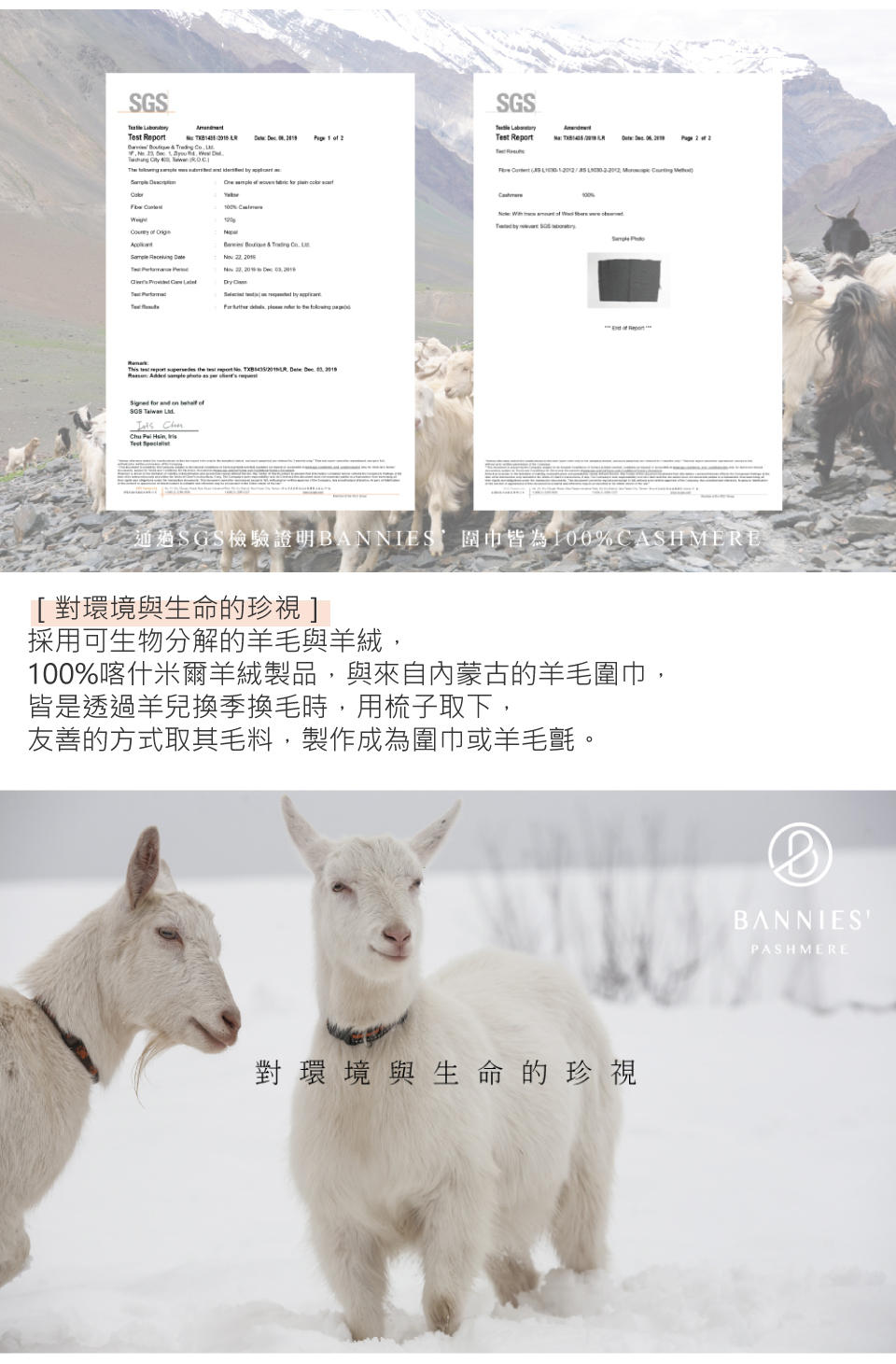 ééSGSæª¢é©è­æBANNIESåå·¾ççº100%CASHMERE