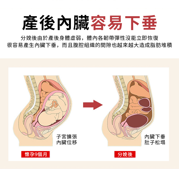 很容易產生內臟下垂,而且腹腔組織的間隙也越來越大造成脂肪堆積