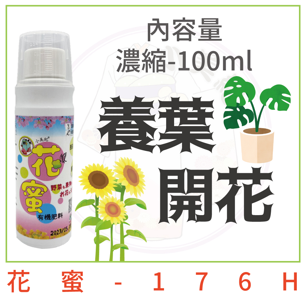è±è  17 6 H