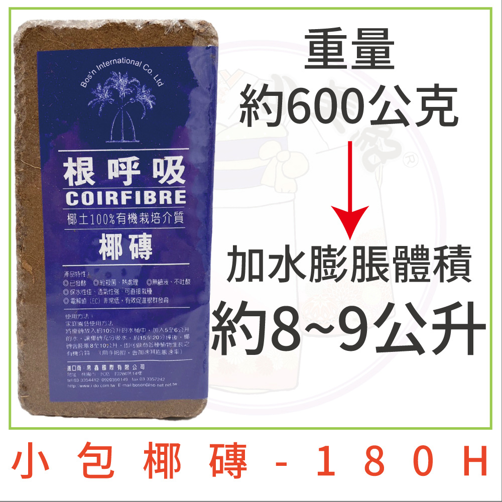 將權碼放入約10公升的水桶中,加入5至6公升