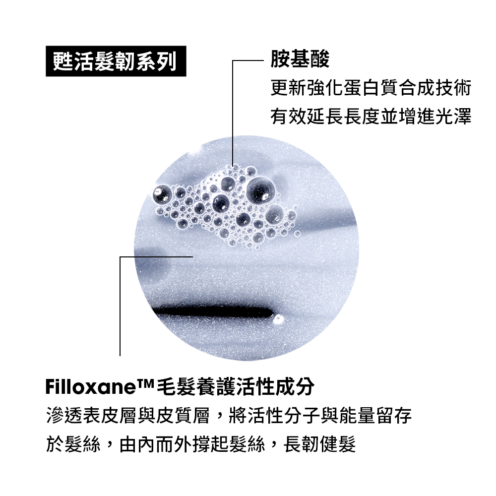滲透表皮層與皮質層,將活性分子與能量留存