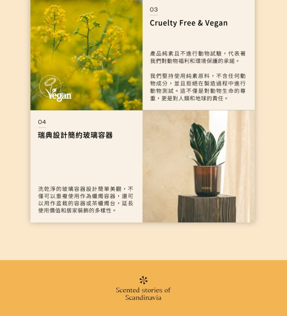 æ´ä¹¾æ·¨çç»çå®¹å¨è¨­è¨ç°¡å®ç¾è§,ä¸