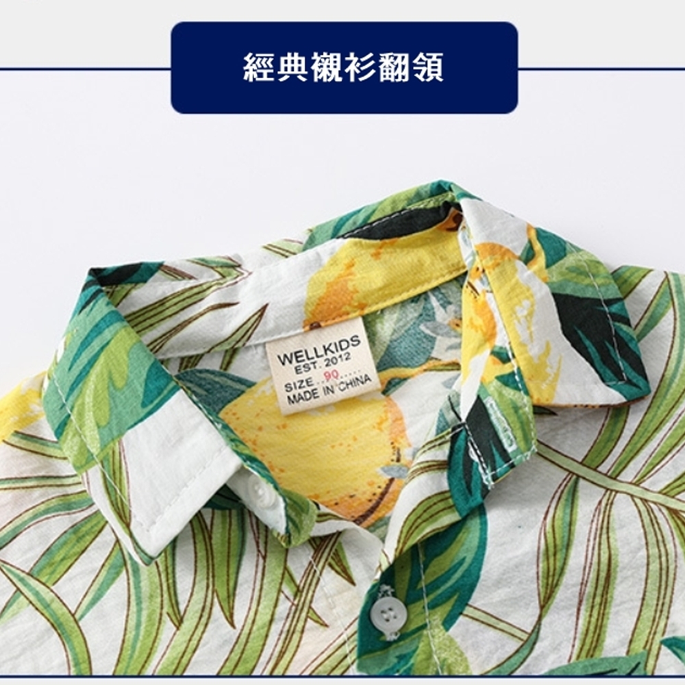 經典襯衫翻領