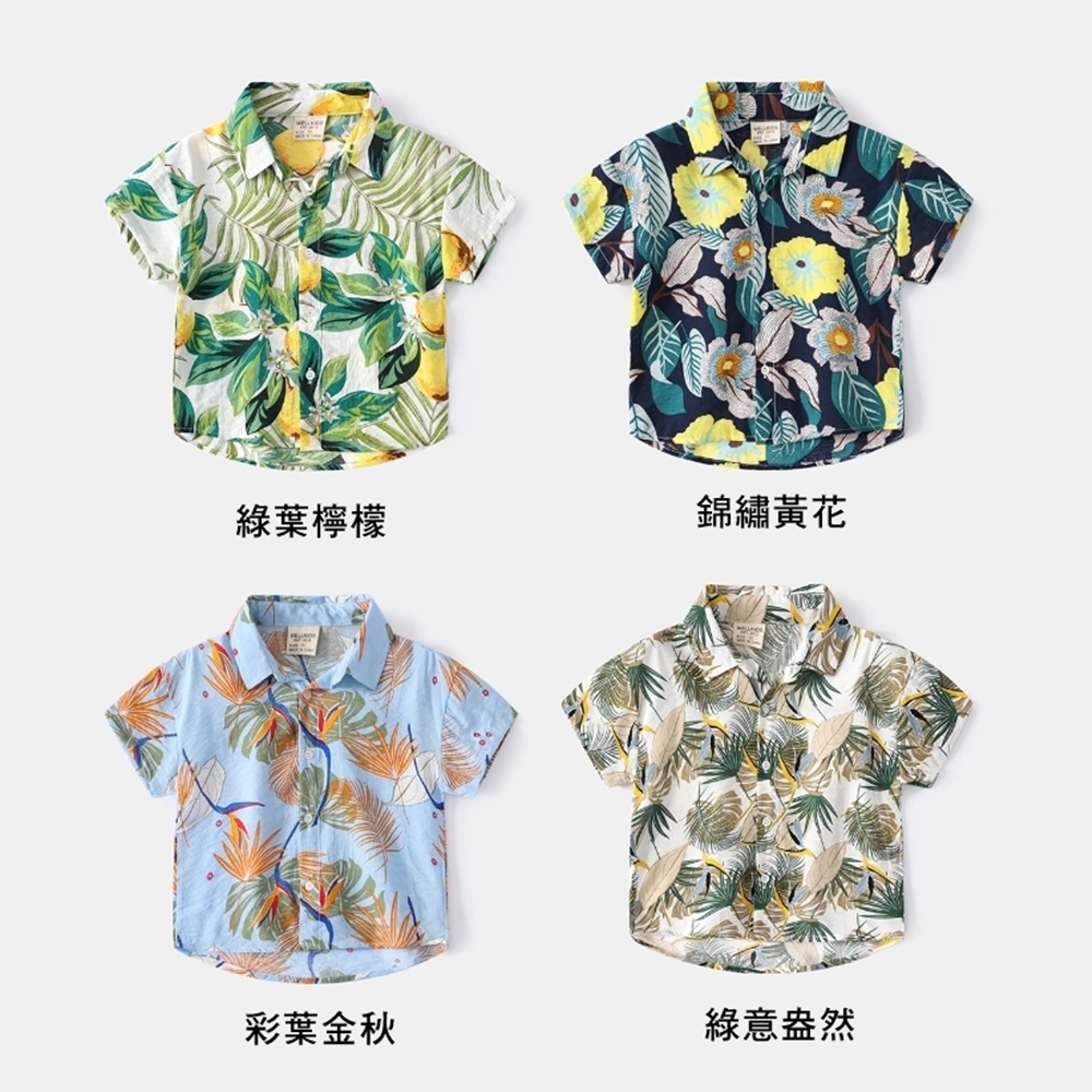 綠葉檸檬 彩葉金秋 錦繡黃花 綠意盎然