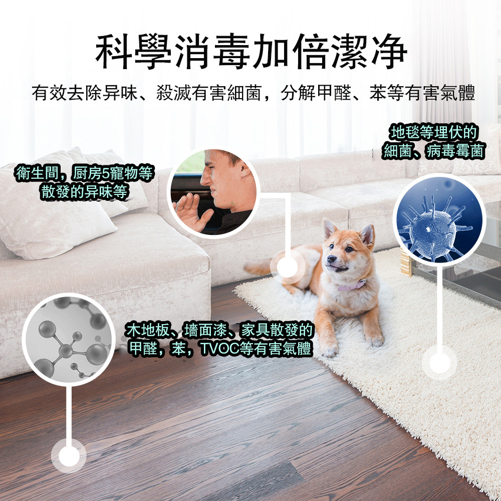 有效去除异味、殺滅有害細菌,分解甲醛、苯等有害氣體