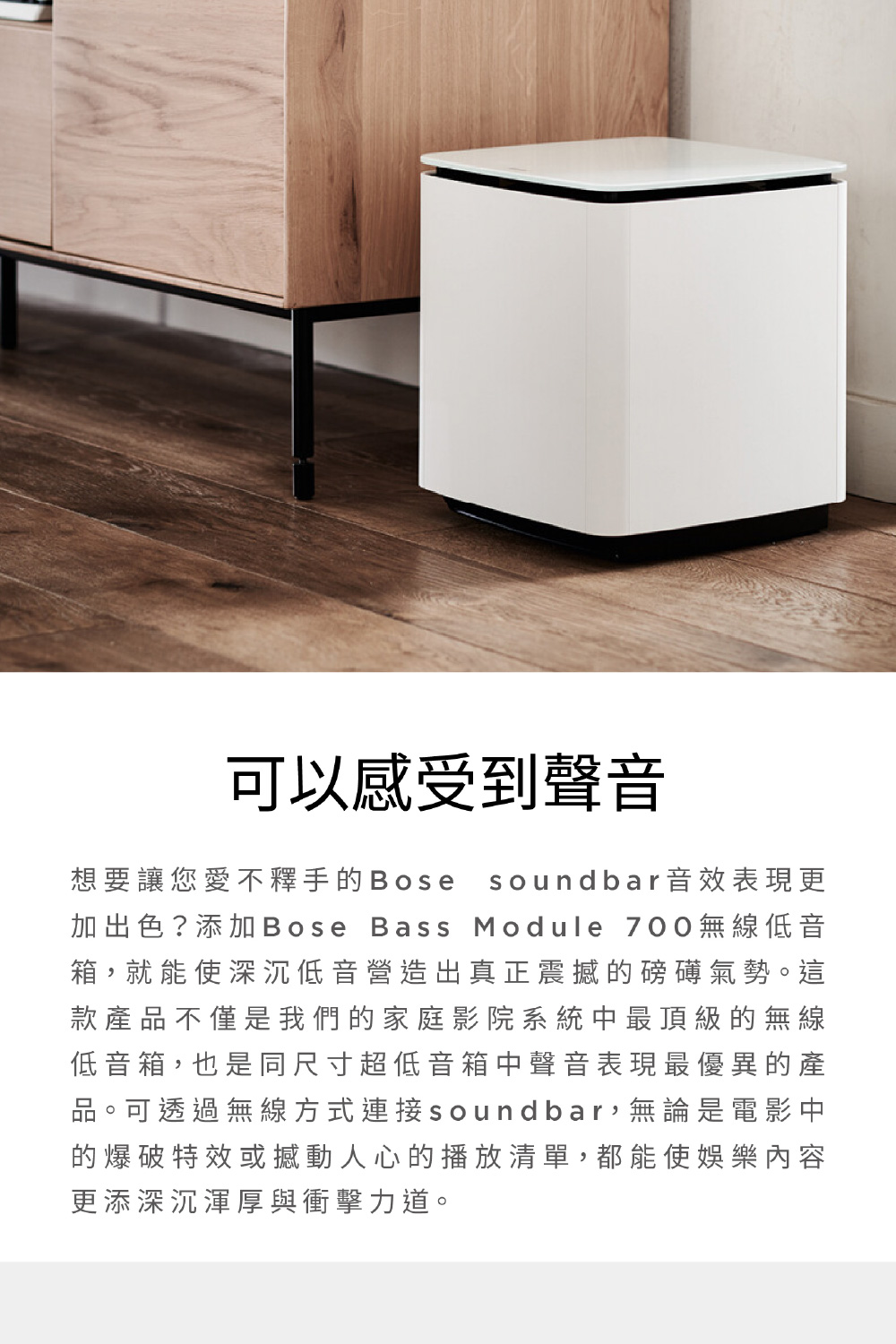 Bose Bass Module 700 - 詳情2