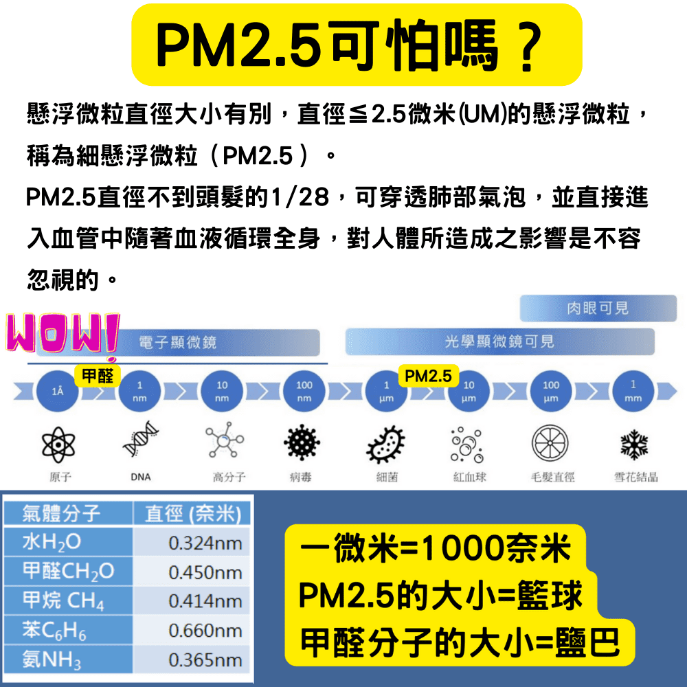 PM2.5直徑不到頭髮的128,可穿透肺部氣泡,並直接進