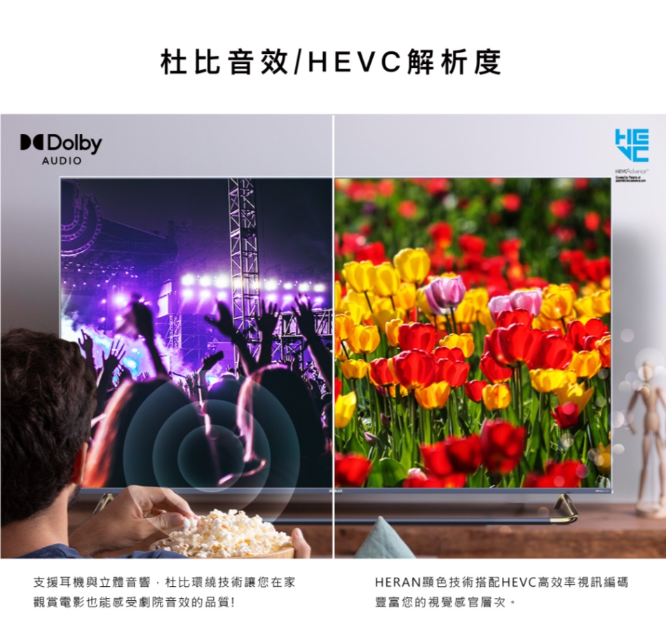 HERAN禾聯 HD-65QSF91 - 詳情9