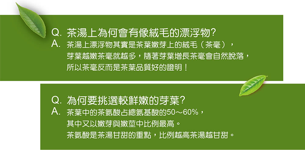 芽葉越嫩茶毫就越多,隨著芽葉增長茶毫會自然脫落,
