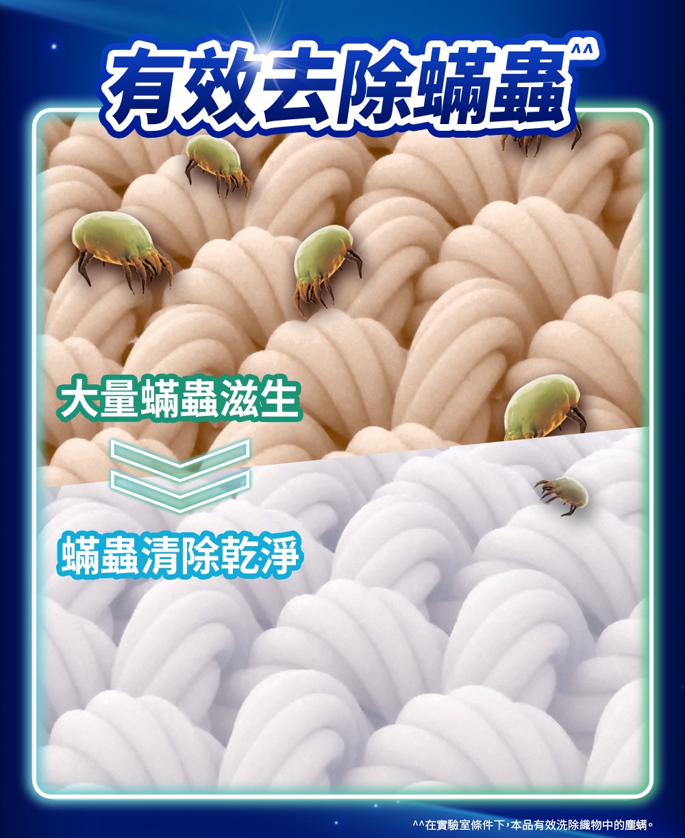 有效去除蟎蟲 大量蟎蟲滋生 蟎蟲清除乾淨 在實驗室條件下,本品有效洗除織物中的塵螨。 