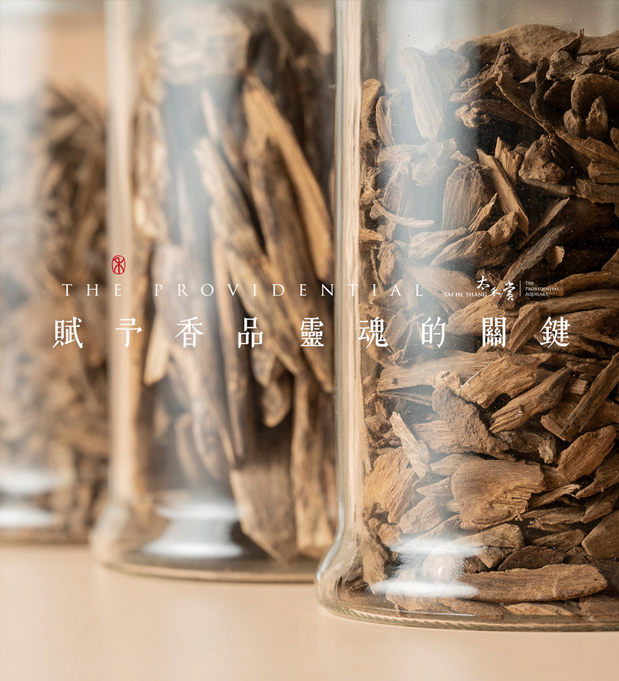 賦 予 香 品 靈魂的關鍵