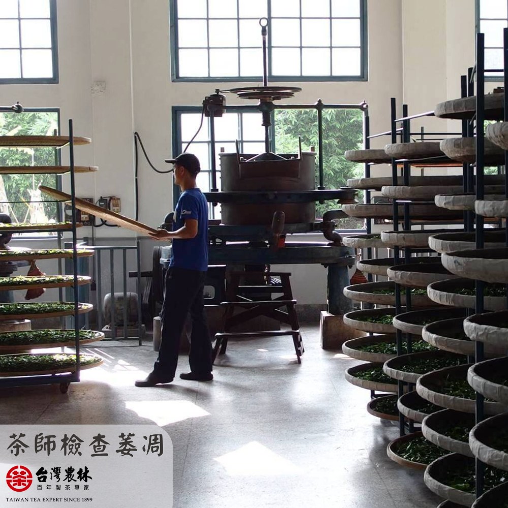 茶師檢查萎凋 黑台灣農林 百年製茶專家 