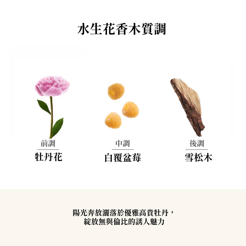 é½åå¥æ¾çè½æ¼åªéé«è²´ç¡ä¸¹,
