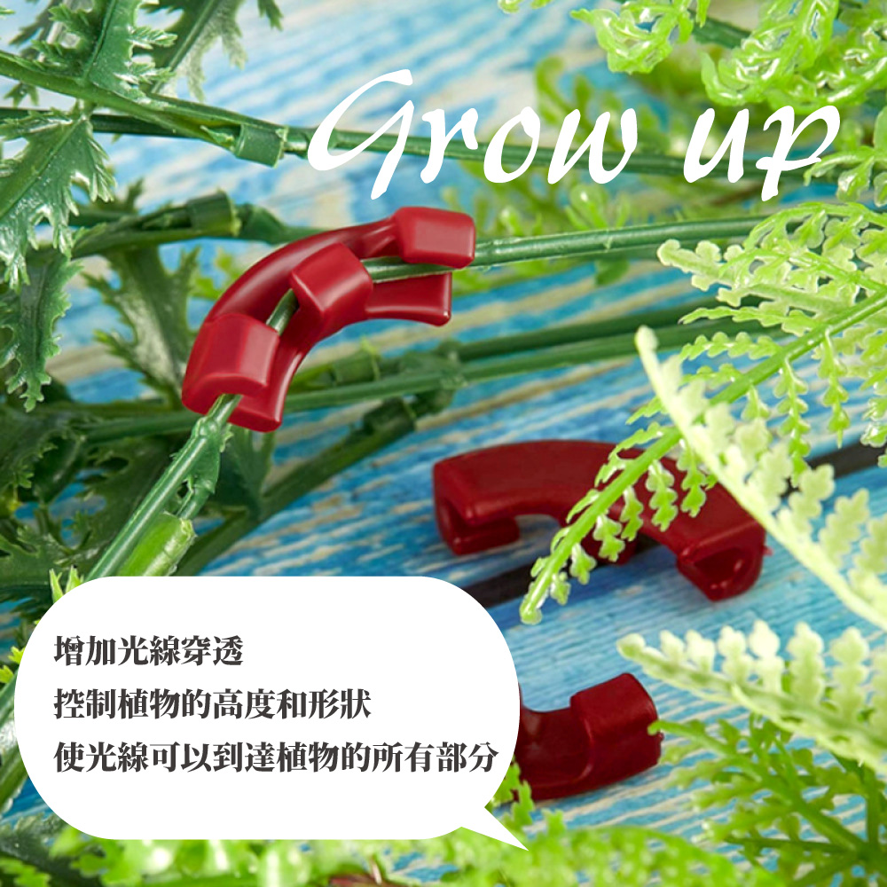 增加光線穿透 控制植物的高度和形狀 使光線可以到達植物的所有部分 