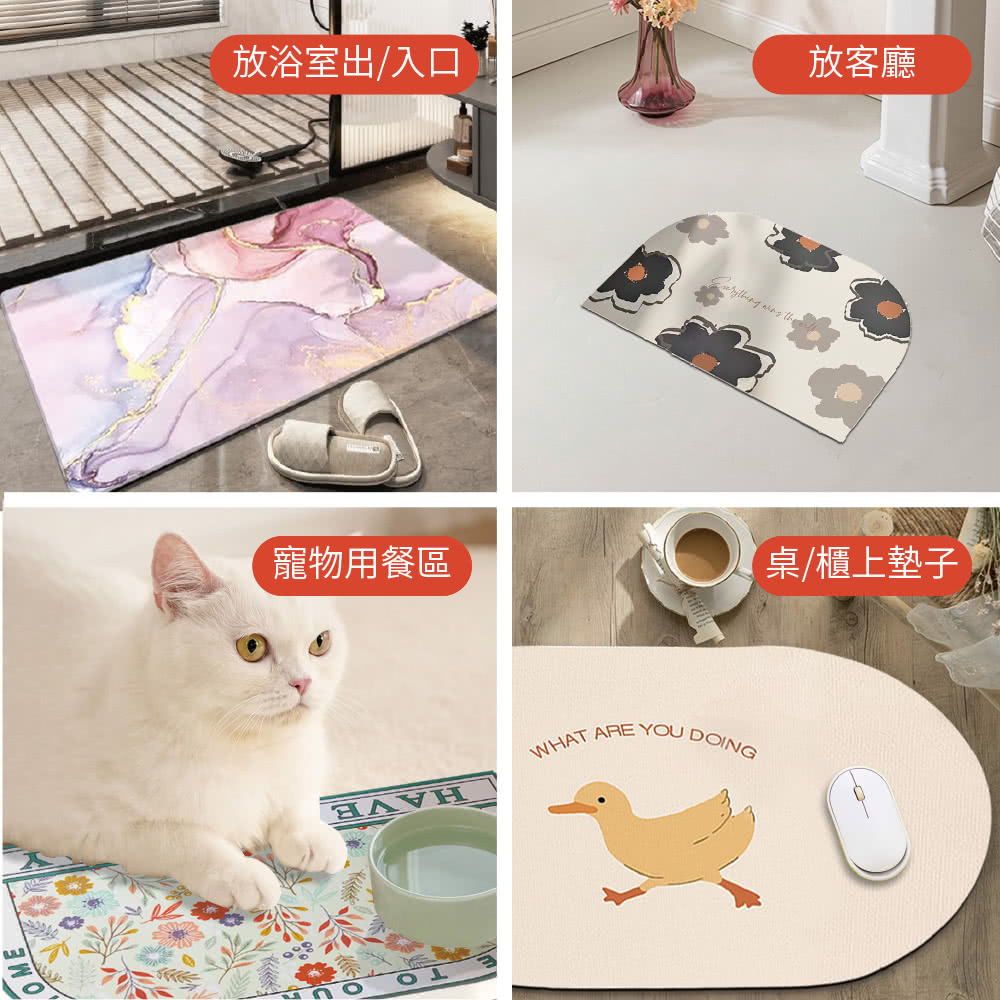放浴室出入口 寵物用餐區 放客廳 桌櫃上墊子 