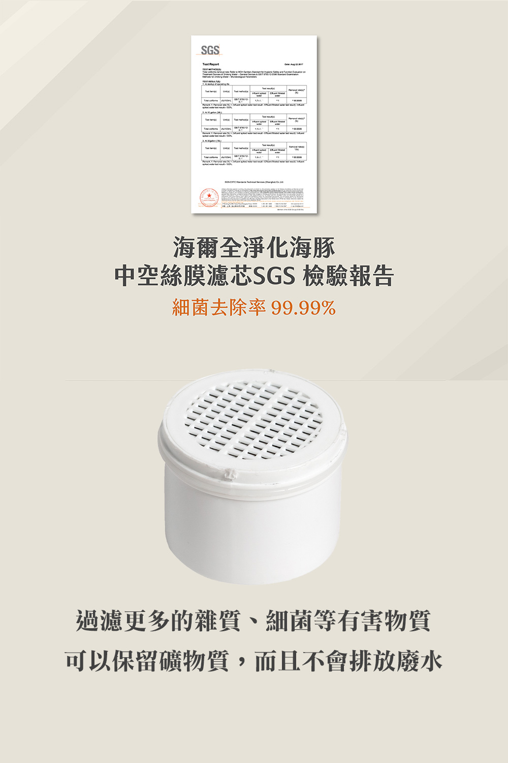 Yespeechnodel不分你看到就好