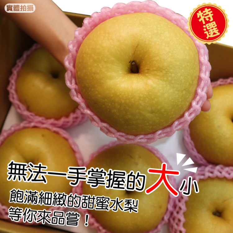 實體拍攝 特選 無法一手掌握的大小 飽滿細緻的甜蜜水梨 等你來品嘗 