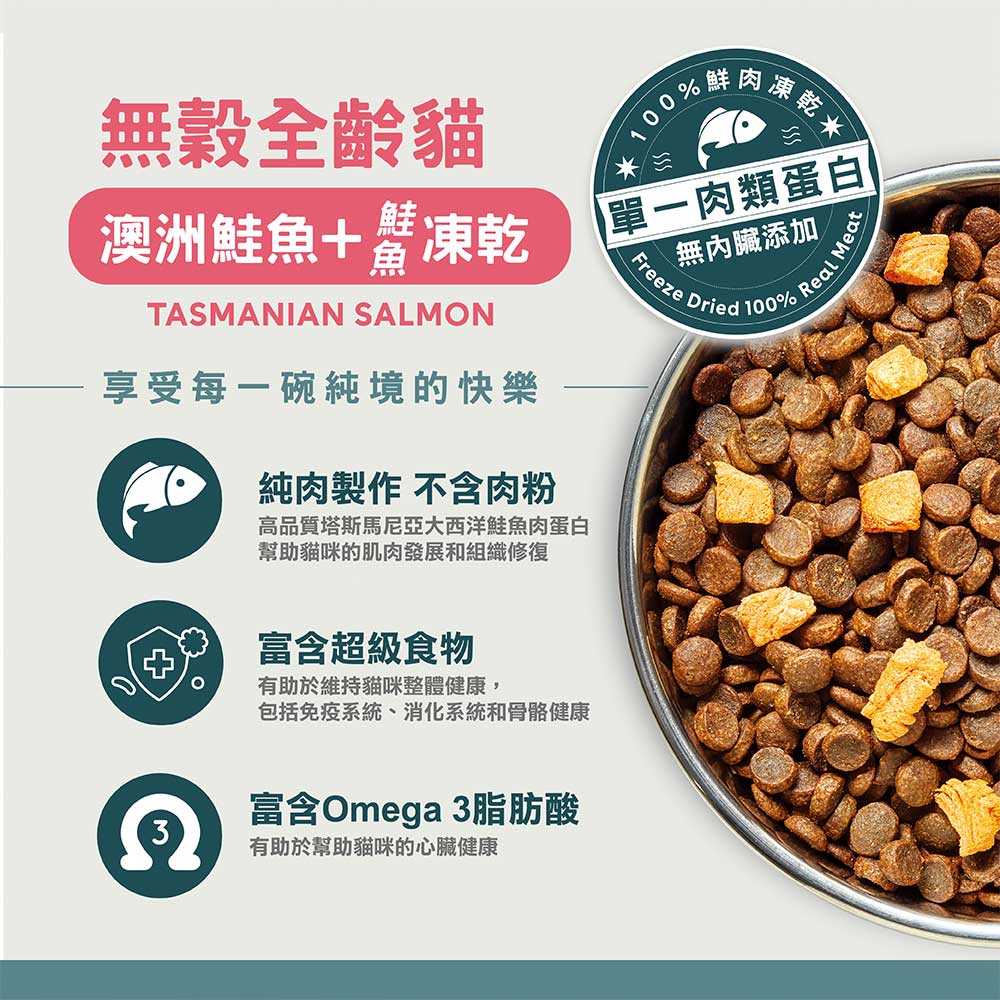 高品質塔斯馬尼亞大西洋鮭魚肉蛋白