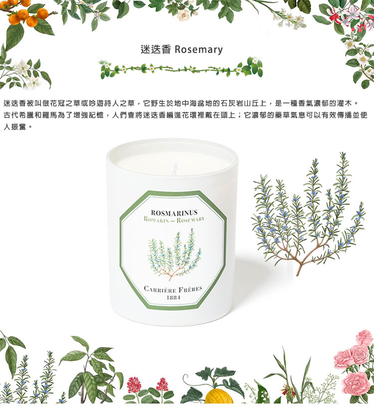 迷迭香 Rosemary 迷迭香被叫做花冠之草或吟遊詩人之草,它野生於地中海盆地的石灰岩山丘上,是一種香氣濃郁的灌木。 古代希臘和羅馬為了增強記憶,人們會將迷迭香編進花環裡戴在頭上它濃郁的藥草氣息可以有效傳播並使 人振奮。 