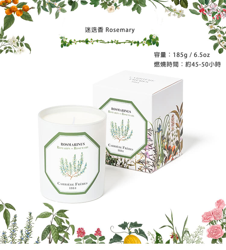 燃燒時間約4550小時 
