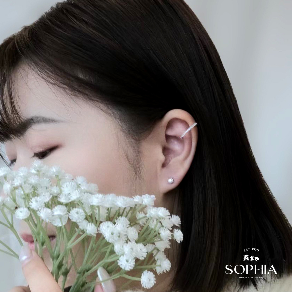蘇花更 