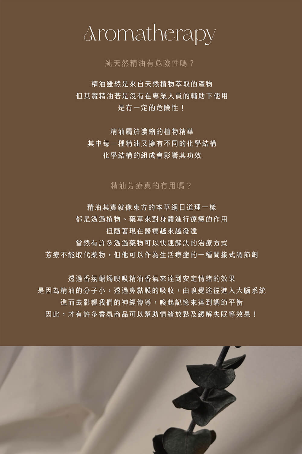 是因為精油的分子小,透過鼻黏膜的吸收,由嗅覺途徑進入大腦系統