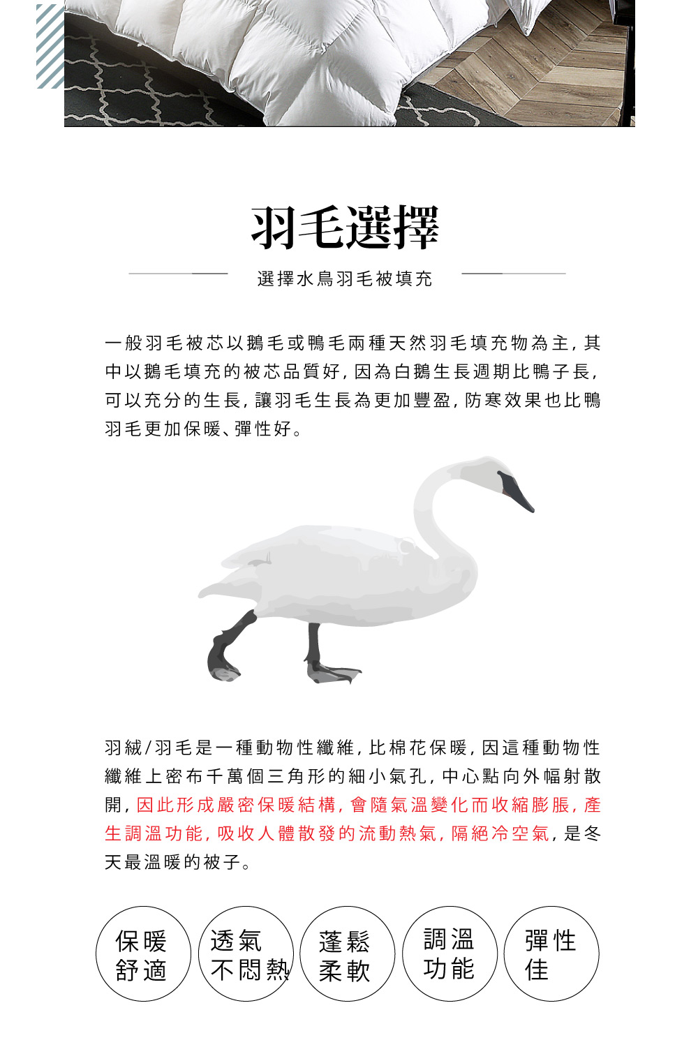 Aaron 艾倫生活家 台灣製 100%純天然頂級水鳥羽毛被