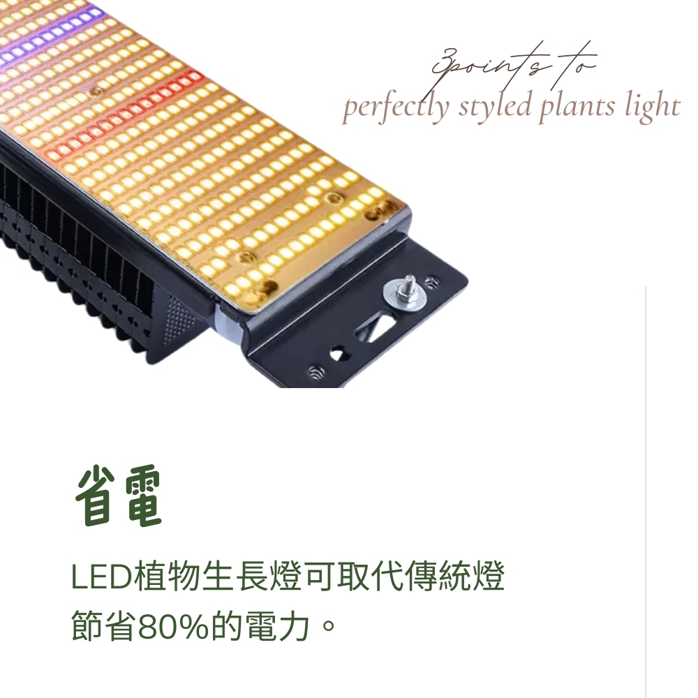 省電 LED植物生長燈可取代傳統燈 節省80%的電力。