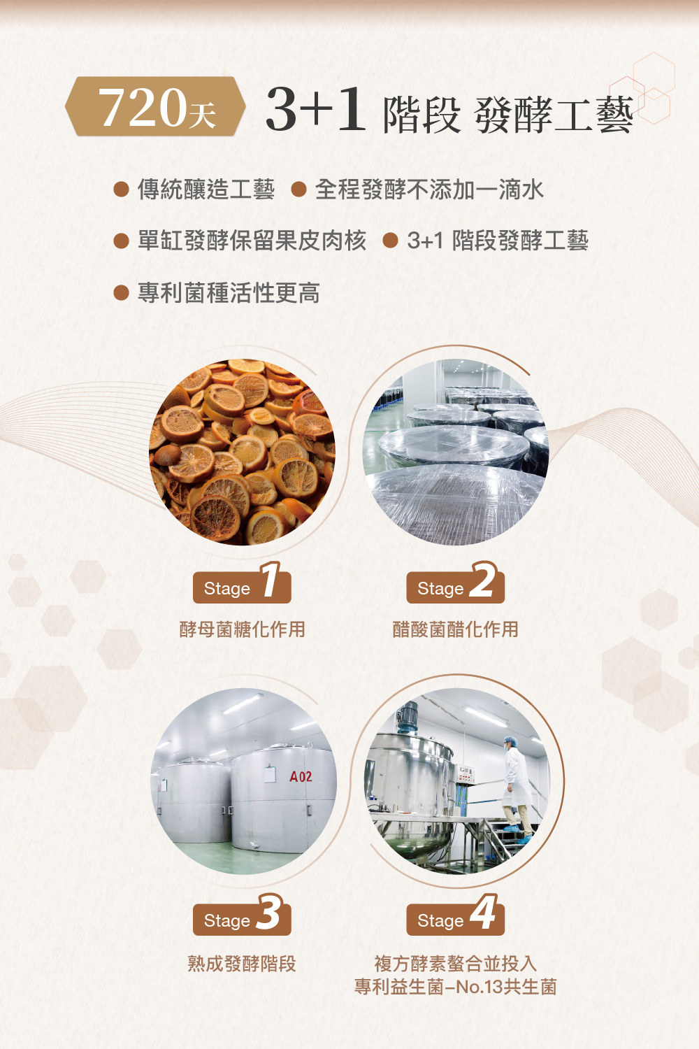 單缸發酵保留果皮肉核 31 階段發酵工藝