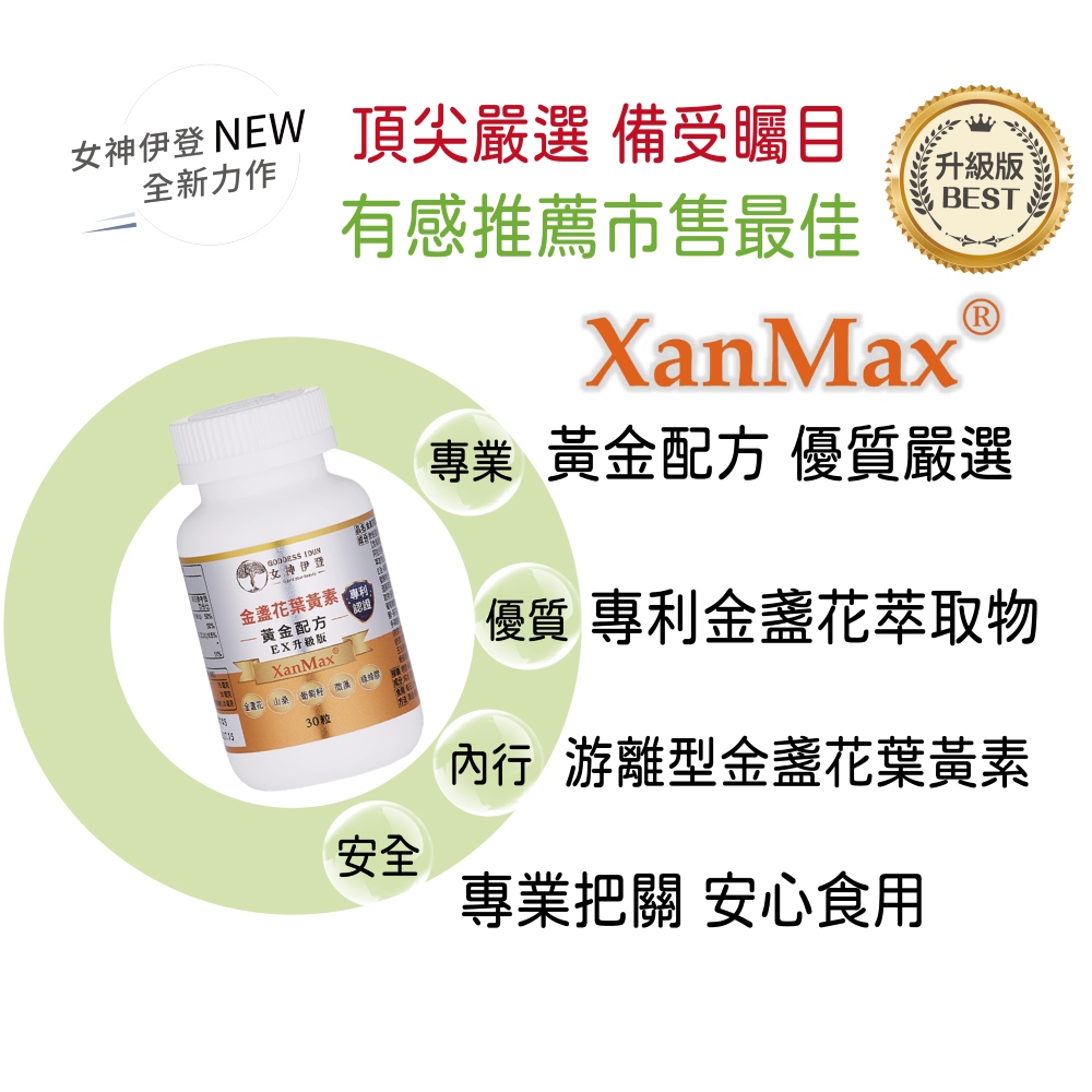 女神伊登 NEW 頂尖嚴選 備受矚目