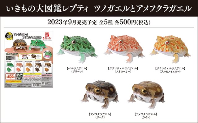 BANDAI 萬代 轉蛋 生物大圖鑑 角蛙與饅頭蛙 一套五款