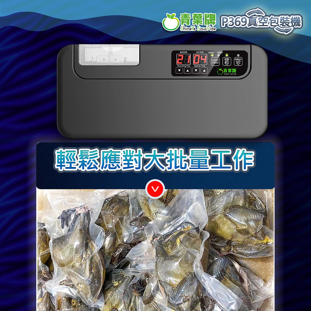 ShineYe青葉牌 P369 - 詳情4