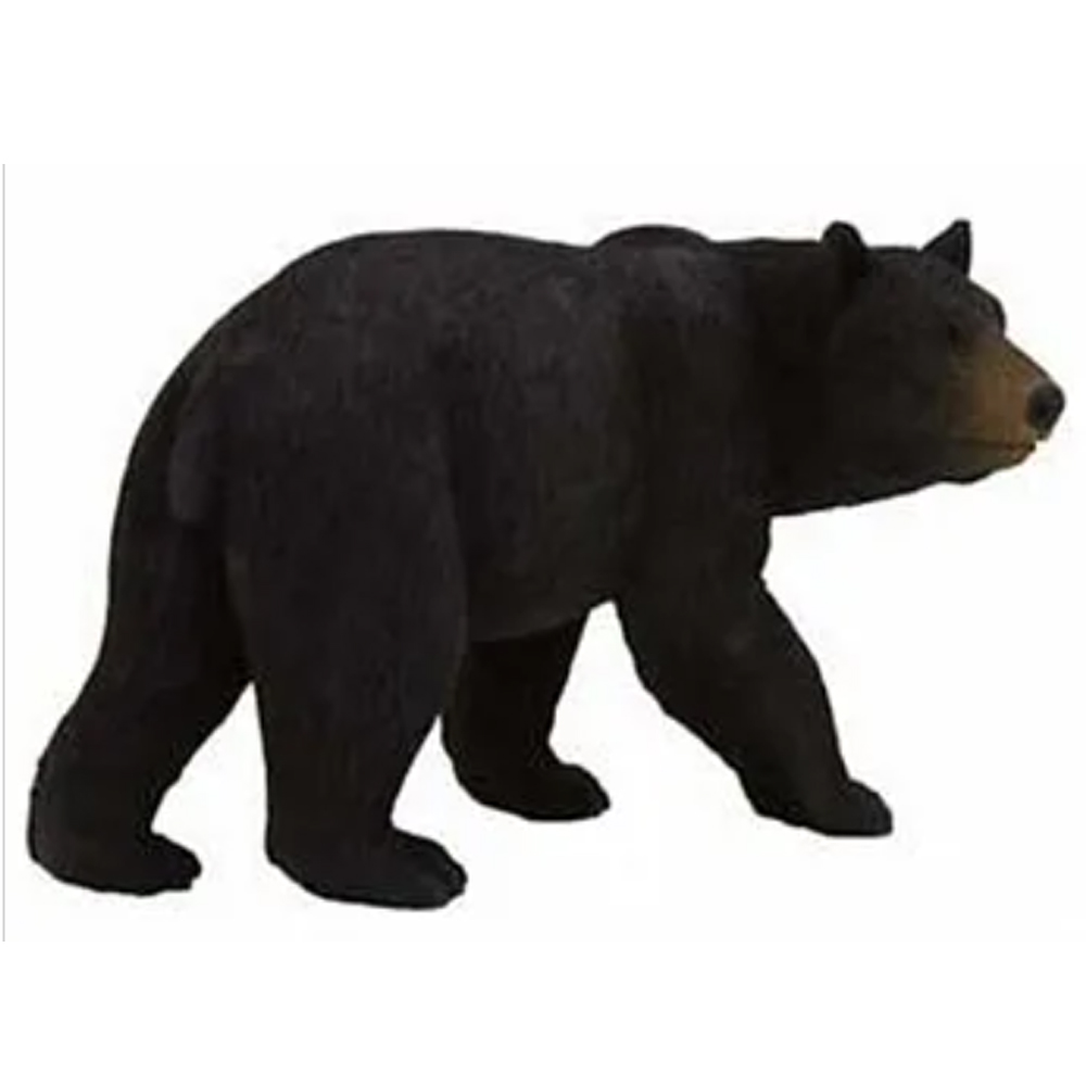 MOJO FUN 動物模型 動物星球頻道獨家授權 - 美洲熊