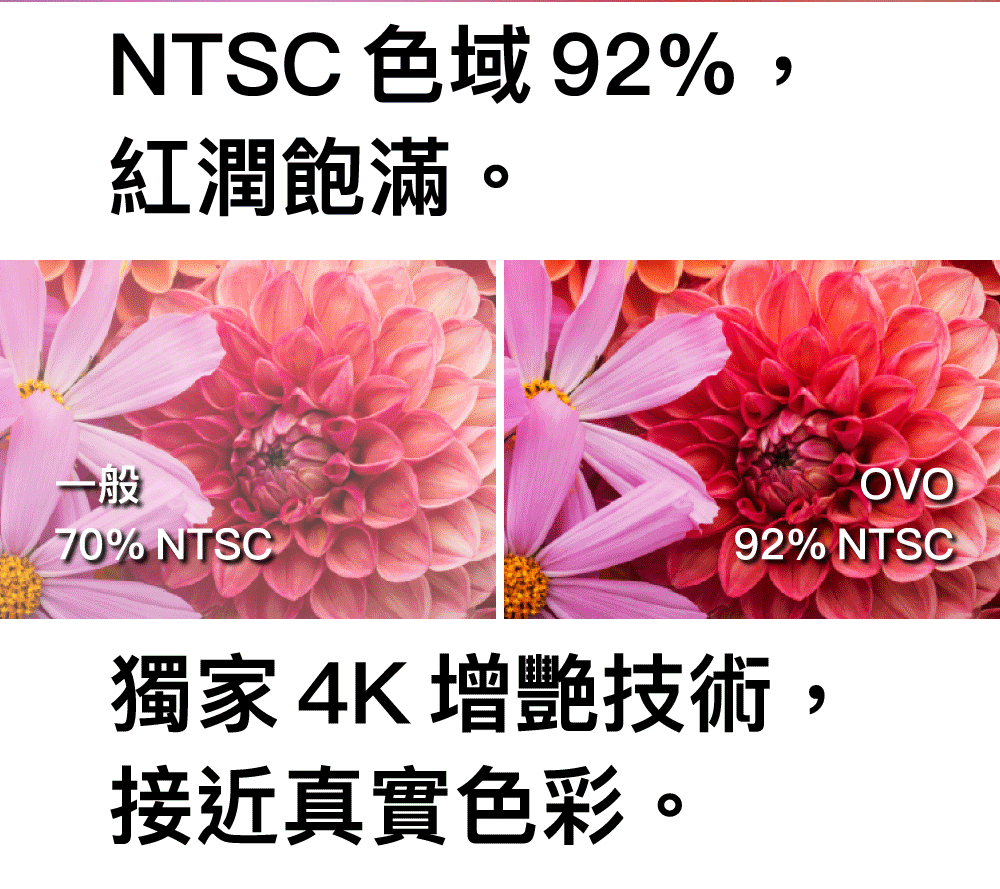 OVO 55型4K HDR智慧連網電視(TA55)評價推薦