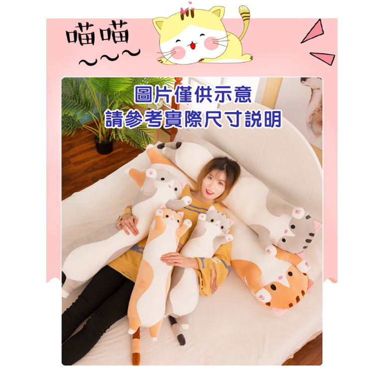 喵喵 圖片僅供示意 請參考實際尺寸說明 
