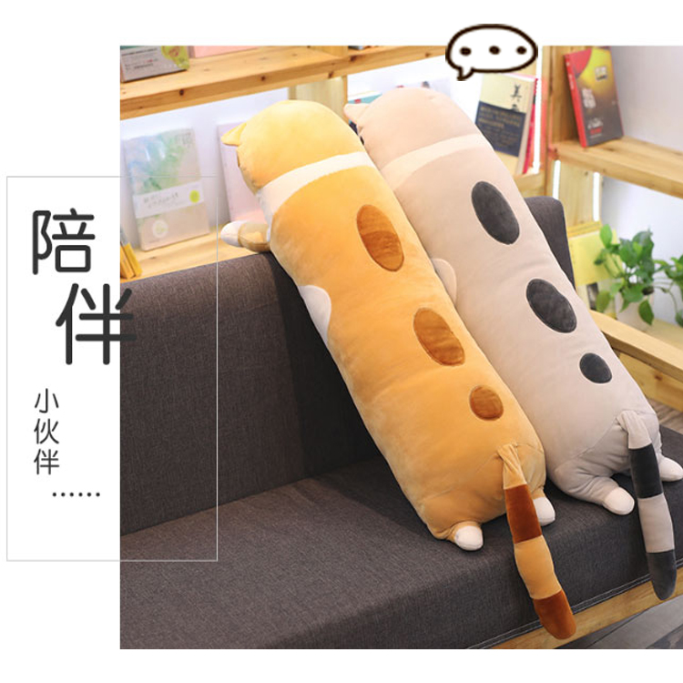 陪伴 小伙伴 