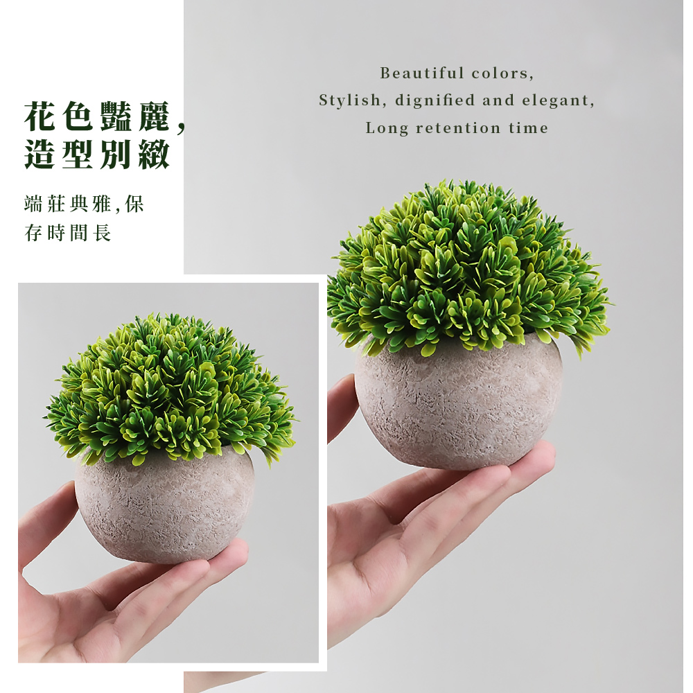 è±è²è±éº, é åå¥ç·» ç«¯èå¸é,ä¿ å­æéé· 