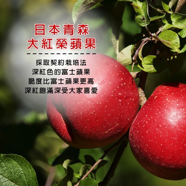 切果季 日本青森大紅榮蘋果32粒頭6顆x1盒(2kg_頂級手