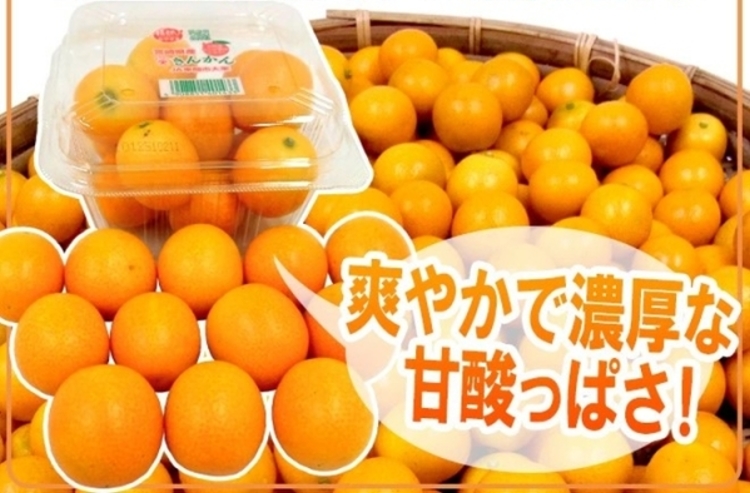 WANG 蔬果 日本空運宮崎溫室金桔x10盒(250g/盒)