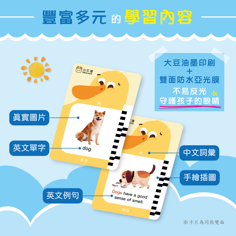 豐富多元的學習內容