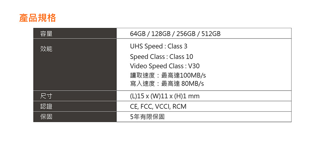 讀取速度最高達100MBs