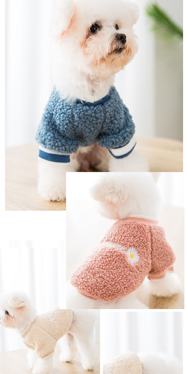 寵物愛家 寵物保暖新衣服3件組特惠寵物衣(寵物保暖用品)評價