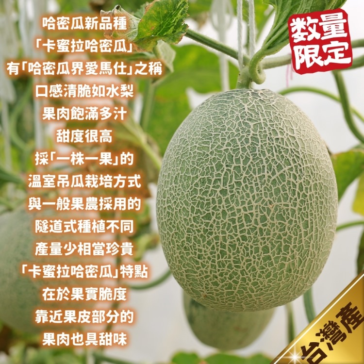 WANG 蔬果 台灣卡蜜拉紅肉哈密瓜1顆x1盒(1.3-1.
