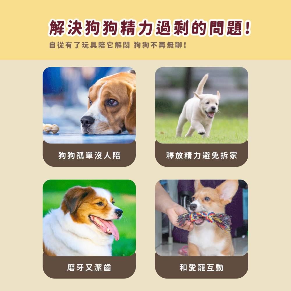 自從有了玩具陪它解悶 狗狗不再無聊
