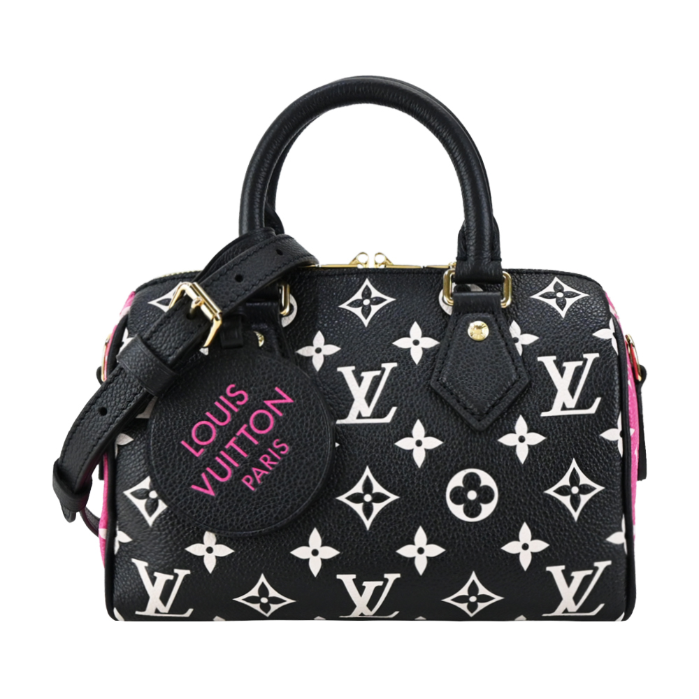 Louis Vuitton 路易威登 M46088 Spee