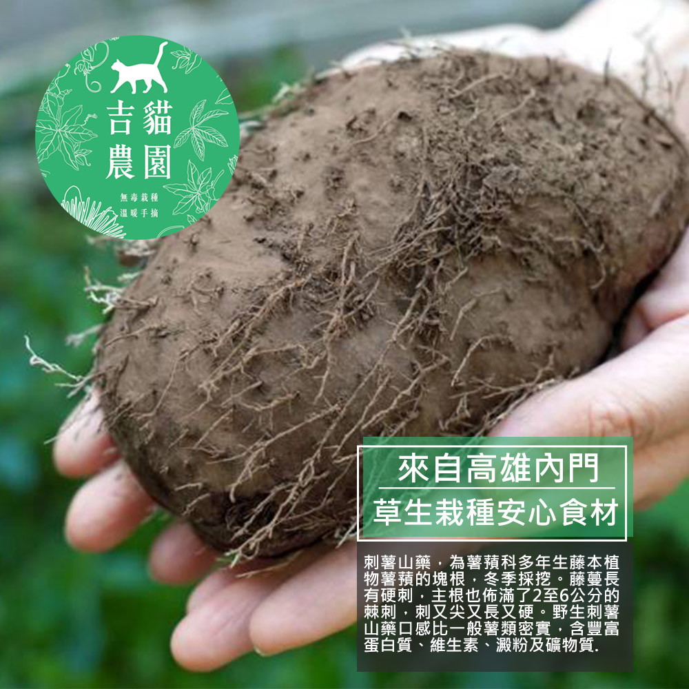 吉貓農園 高雄內門刺薯山藥5台斤x1箱(約3~6顆/箱_產地